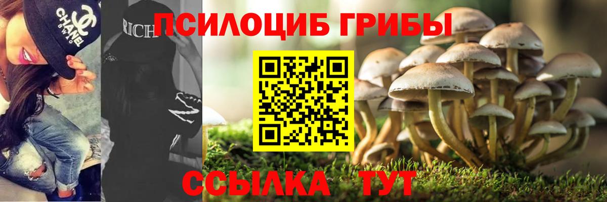 Галлюциногенные грибы Magic Shrooms  Вход с VPN  купить наркотик  Гурьевск 